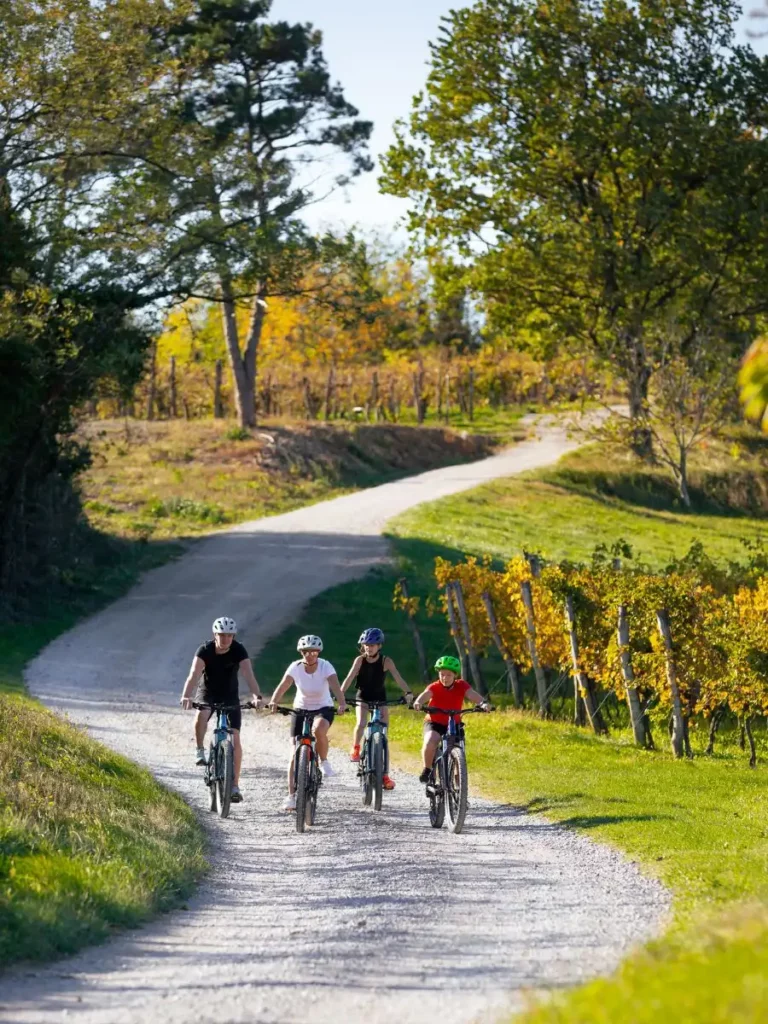 Balade à vélo en Touraine au cœur des vignobles de la Loire